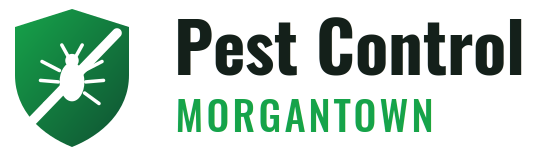 Morgantown Pest Control